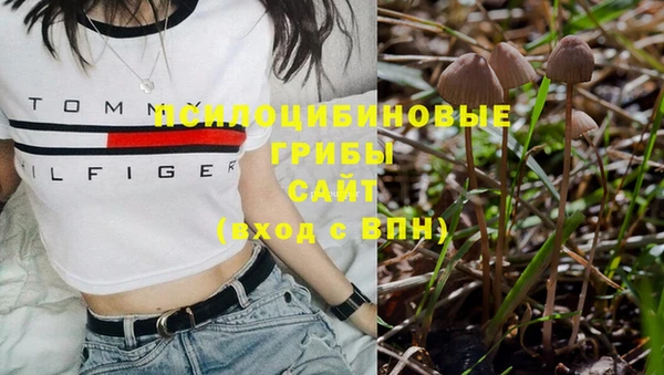 mdpv Осинники