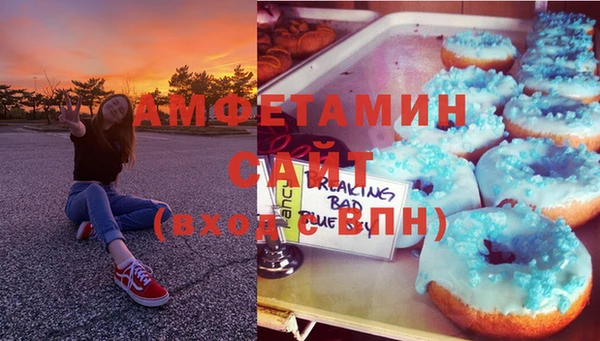 шишки Осташков