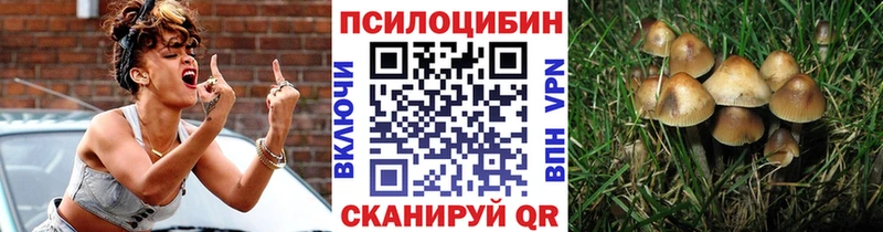 Галлюциногенные грибы прущие грибы  Купить закладки  Учалы 
